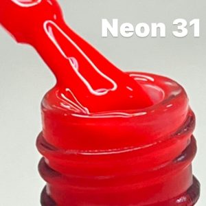 n31