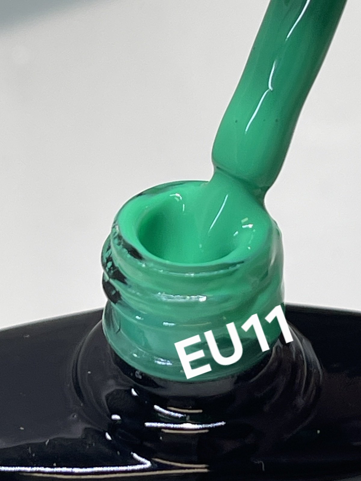 EU11