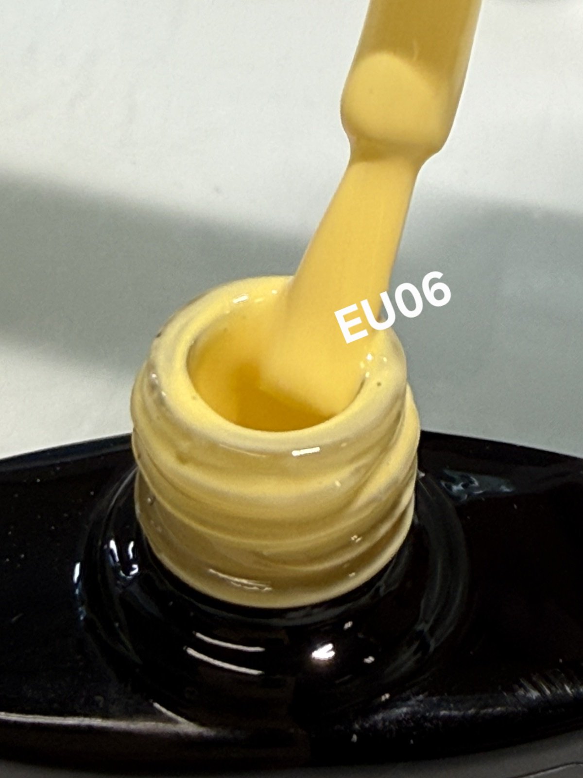 EU06
