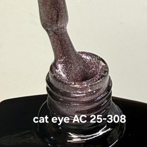 cat eye AC 25-308